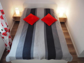 Гостиница Apartament RED FLOWERS, Шклярска-Поремба